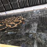 The Blue Labradoriteblue Australe Granite Origin From Madagascar -