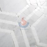 Carrara White And Greece Thassos White Marble Hexagon Floor Mosaic Tiles -