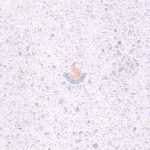 Terrazzo CRW205 -