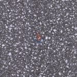 Terrazzo CRW206 -