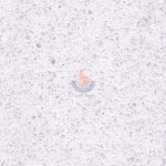 Terrazzo CRW212 -