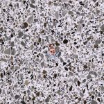 Terrazzo CRW220 -