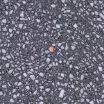 Terrazzo CRW221 -