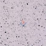 Terrazzo CRW224 -