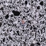 Terrazzo CRW303 -