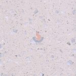 Terrazzo CRW601 -