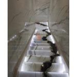 Chinese Panda White Marble Stairs Case -