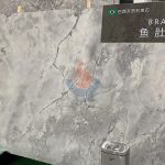 Natural Brazilian Extra Super White Calacatta Quartzite Slab Stone -