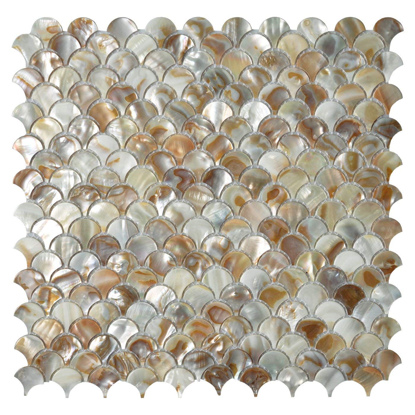 Seashell Mosaic tile