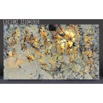 Translucent Splendor White Granite Backlit With LED -