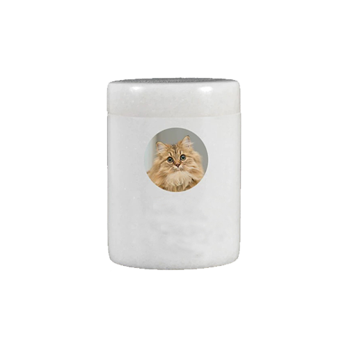 Pet Urn